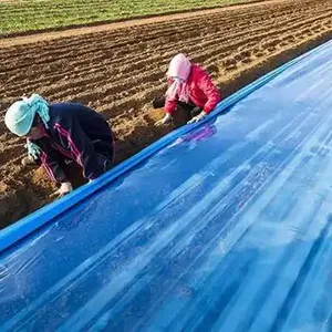 Película de acolchado o mantillo de un color