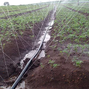 Aplicaciones del producto