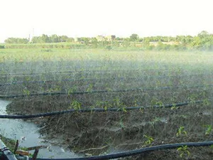 Aplicaciones del producto