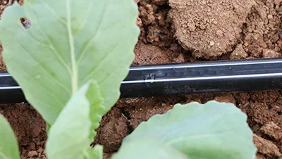 Aplicaciones del producto
